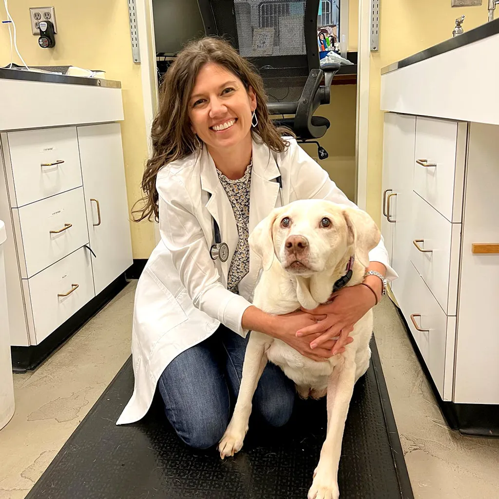 Peachtree Hills Animal Hospital