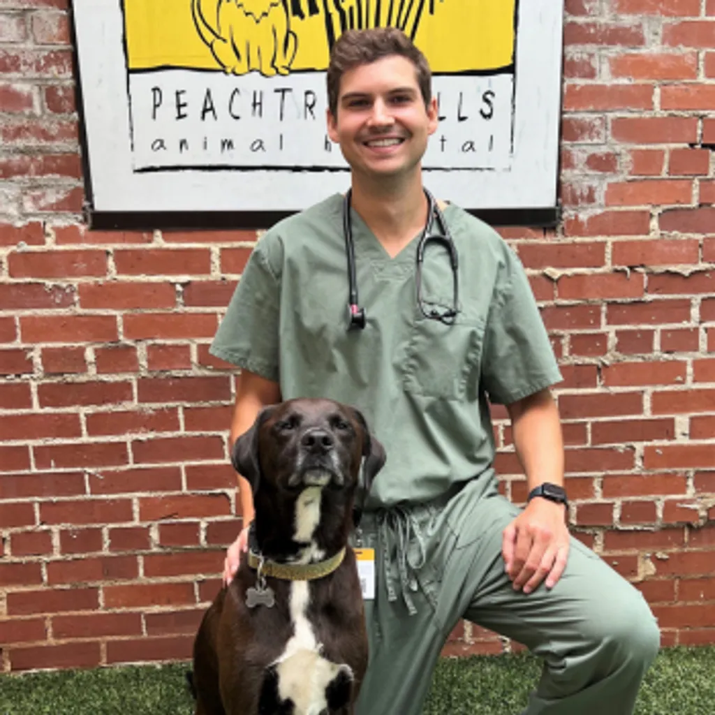 Peachtree Hills Animal Hospital
