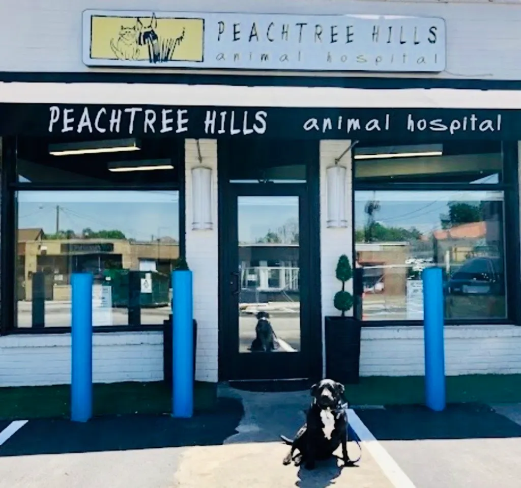 Peachtree Hills Animal Hospital