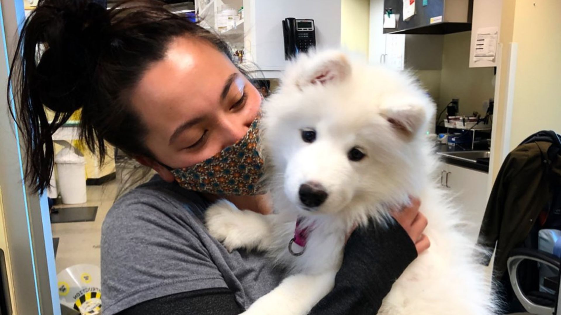 Work With Animals In Great Buckhead Atlanta Location: A Dream Job Where You  Make A Difference! | Peachtree Hills Animal Hospital