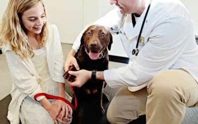 THE DOCTOR IS IN–We focus on owners as well as pets!